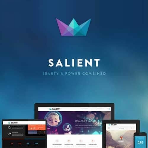 Salient Creative Multipurpose WooCommerce Theme