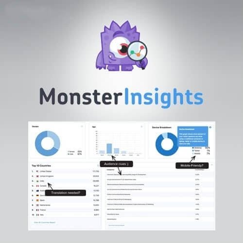 MonsterInsights Pro – Google Analytics Plugin for WP